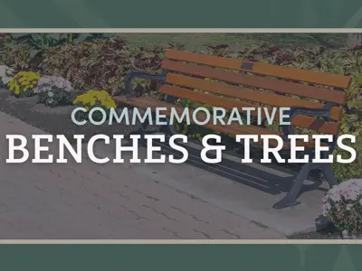 Commemorative Benches and Trees with an image of a wooden park bench in the background