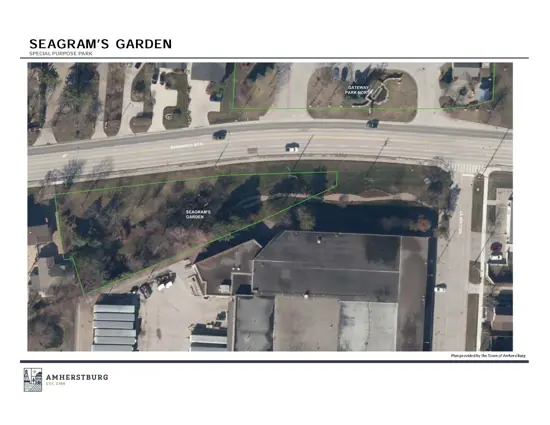 Existing conditions image showing trail and greenery