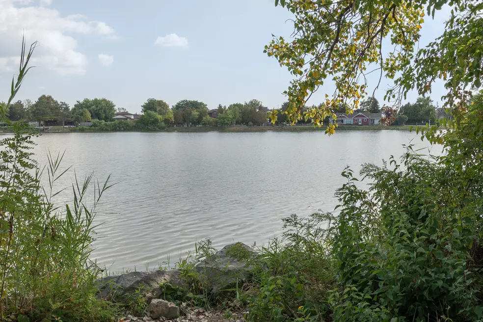 View of water through the trees