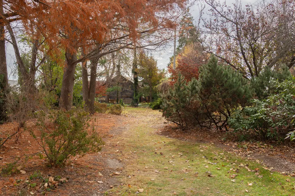 grass pathway showing trees in fall colours