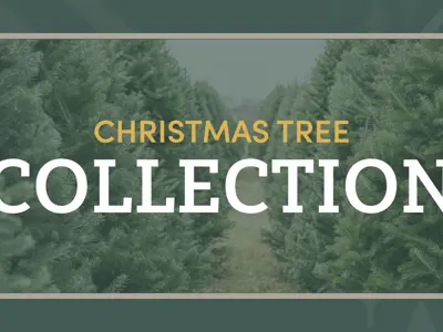 Christmas Tree Collection with an image of undecorated Christmas trees in the background surrounded by a green border
