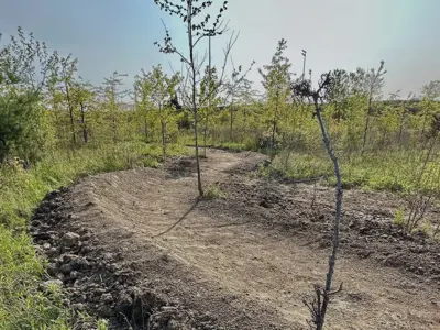 Bike trail at the Libro Credit Union Centre featuring a dirt pathway and trees in the background